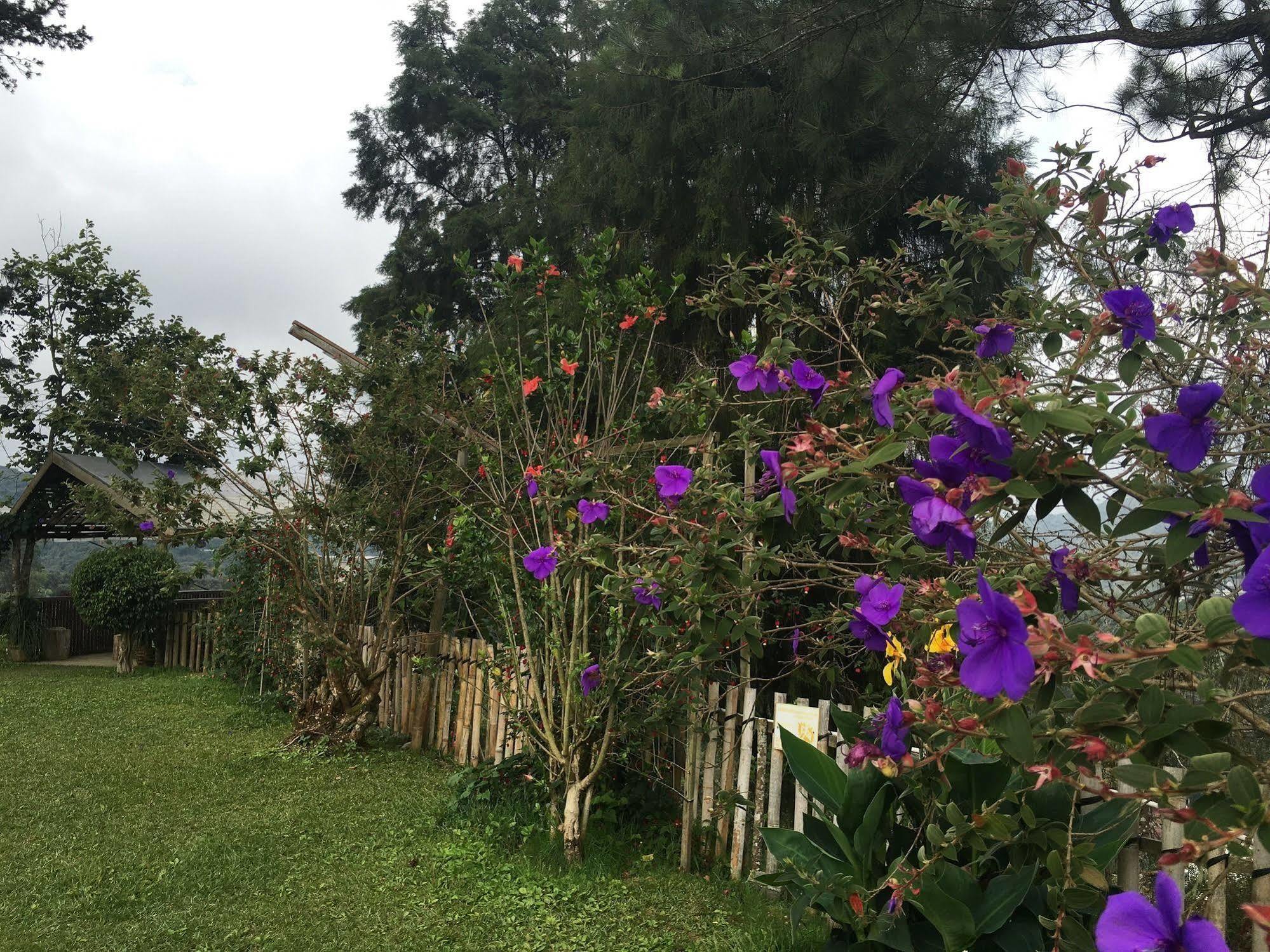 Jim Thompson Cottage Cameron Highlands Exterior foto